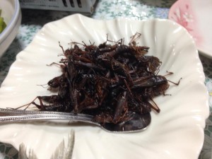 「農商工連携 人材育成 課題解決支援事業ワークショップ」が番組で放送！