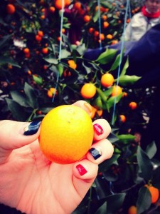 Umekikiチーム、今度は宮崎に上陸中！