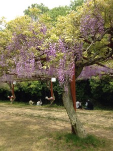 「勉強すること」のありがたさ＠岡山県牛窓