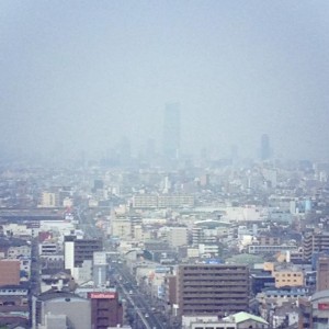 堺プロジェクト ~フィールドワークの巻 その2~