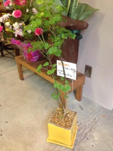 GIFT&GIFT cafeの2日目終了