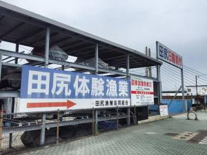 再び、大阪の田尻漁港へ