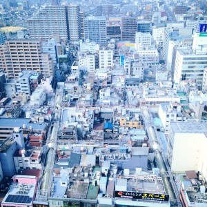 堺プロジェクト ~フィールドワークの巻 その2~