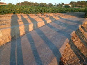 「勉強すること」のありがたさ＠岡山県牛窓