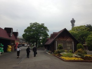 お休みの日の天王寺動物園で打ち合わせ