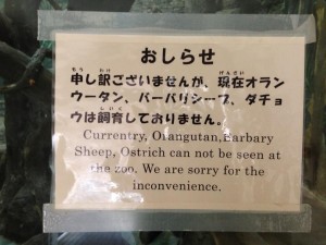 来年、100周年を迎える天王寺動物園にて想う