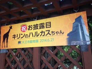来年、100周年を迎える天王寺動物園にて想う