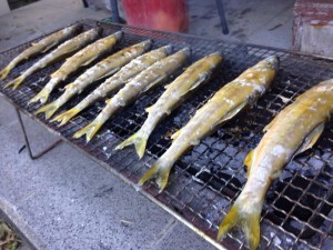 「勉強すること」のありがたさ＠岡山県牛窓