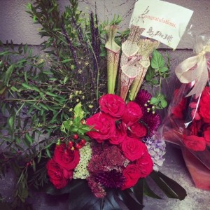 いよいよ本日オープン！