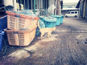 田尻漁港での撮影風景