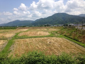 亀岡農家さんによる直売所の経営を考える