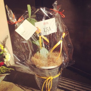 いよいよ本日オープン！