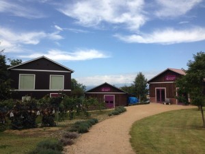 長野県須坂市で見つけたもの