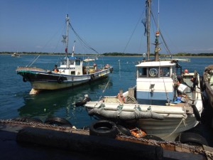 お魚いっぱい！「生産地ツアー 淡路島・由良港で漁業を親子でmekiki!」
