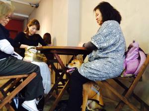 Give&gift：補助犬を受け入れる準備がゆっくりと進んでいます！