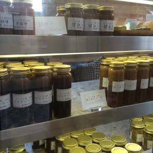 今週の土曜日は六甲アイランドでピクニック!