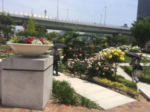  Give&gift：中之島公園へピクニックに行ってきました！