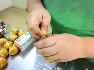 Give&gift（ギブアンドギフト）:「かぼちゃの茶巾しぼり」を仕込み！