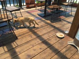 大阪の漁港をめぐる旅がはじまりました