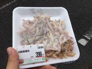 漁港をめぐる旅の２回目は岸和田