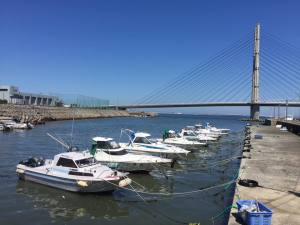 大阪の漁港をめぐる旅がはじまりました