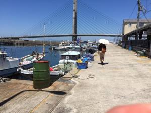 大阪の漁港をめぐる旅がはじまりました