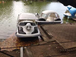 長野県須坂市で見つけたもの
