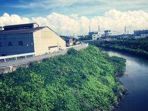 堺市中央区「注染 和晒（ちゅうせん わざらし）」工場を見学