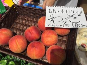 信州すざかマルシェ、 絶賛開催中