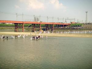 住吉大社のお祭り「住吉祭り」へ