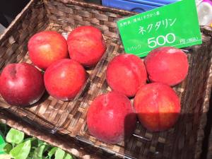 信州すざかマルシェ、 絶賛開催中