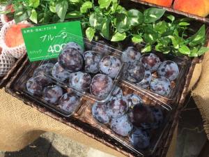 信州すざかマルシェ、 絶賛開催中