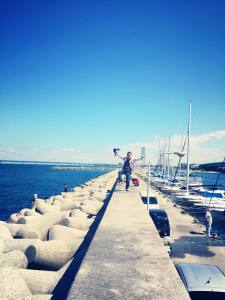 ７つの漁港を駆け回る