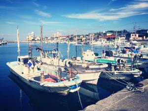 ７つの漁港を駆け回る