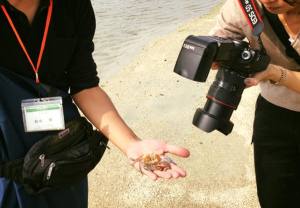 岸和田には人工の干潟があるんです！