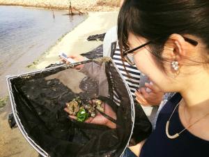 岸和田には人工の干潟があるんです！