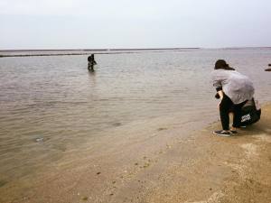 岸和田には人工の干潟があるんです！