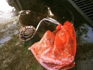 12月の尾崎漁港は変わらず穏やかで、 なんとも美しい