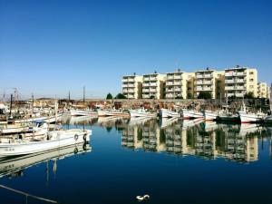 12月の尾崎漁港は変わらず穏やかで、 なんとも美しい