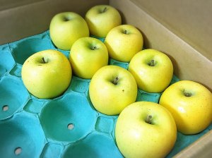 Give&gift(ギブアンドギフト):カフェでも大人気の「アップルパイ」