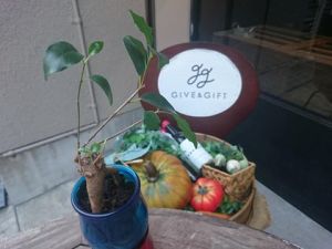 Give&gift（ギブアンドギフト）:GIVE＆GIFT cafeはwifiも使用可能♪