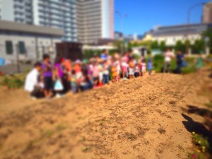 【六甲アイランドを美しい街にする会】芋掘り＆焼き芋大会♪