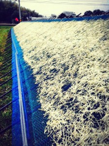 Umekikiチーム、今度は宮崎に上陸中！