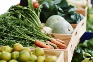 「Umekiki こどものおいしい食祭 辛みと苦みを食べる・楽しむ・学ぶ2日間 」