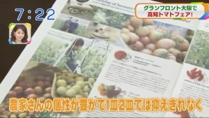 おはよう朝日にUmekikiと、高知のトマトを取り上げていただけました！！