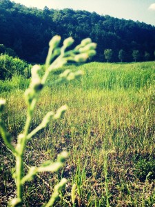 株式会社 耕す さんの丹波の農業見学へ