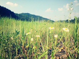 株式会社 耕す さんの丹波の農業見学へ