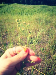 株式会社 耕す さんの丹波の農業見学へ