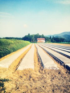 株式会社 耕す さんの丹波の農業見学へ