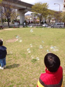 「チューリップ祭」とってもよーい！＠六甲アイランド